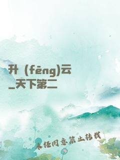 飛升風(fēng)云錄