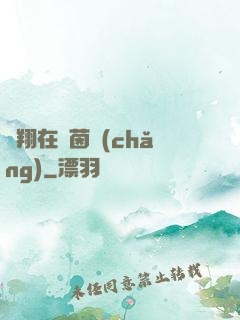 飛翔在綠茵場(chǎng)