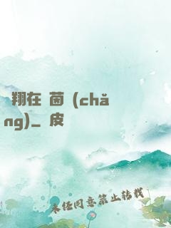 飛翔在綠茵場(chǎng)