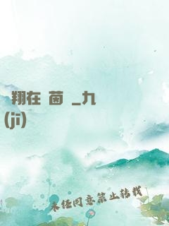 飛翔在綠茵場