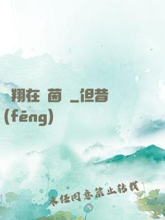 飛翔在綠茵場