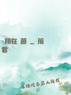 飛翔在綠茵場