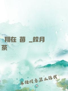 飛翔在綠茵場