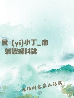 食醫(yī)小丁
