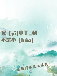 食醫(yī)小丁