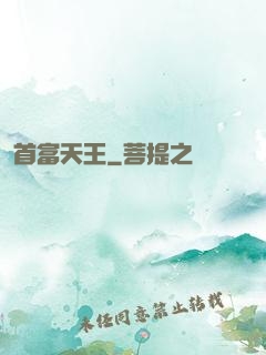 首富天王