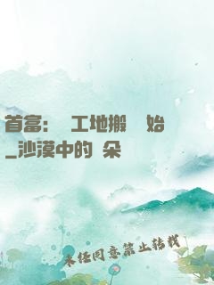 首富：從工地搬磚開始