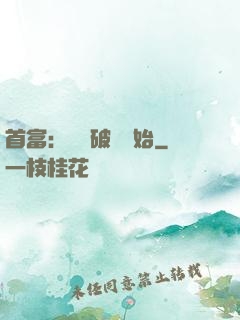 首富：從撿破爛開始
