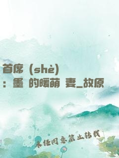 首席設(shè)計師：墨總的暖萌嬌妻