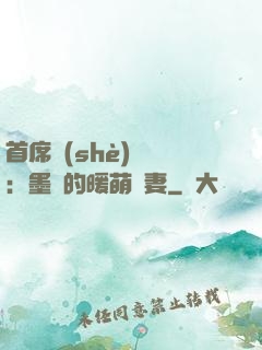 首席設(shè)計師：墨總的暖萌嬌妻