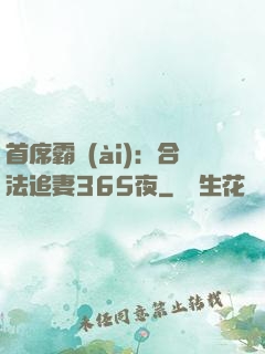 首席霸愛(ài)：合法追妻365夜