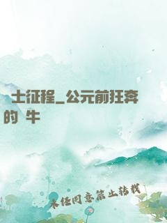 騎士征程