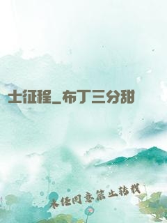 騎士征程