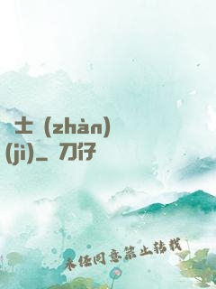 騎士戰(zhàn)紀(jì)