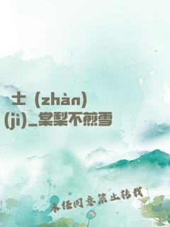 騎士戰(zhàn)紀(jì)