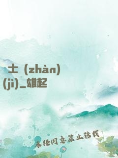 騎士戰(zhàn)紀(jì)