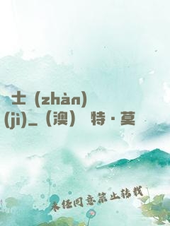 騎士戰(zhàn)紀(jì)