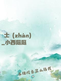騎士戰(zhàn)紀