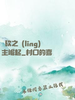 騎砍之領(lǐng)主崛起