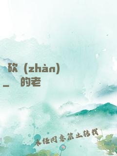 騎砍戰(zhàn)記
