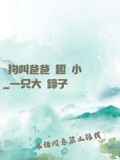 騷狗叫爸爸筆趣閣小說