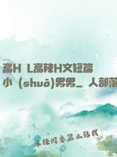 高H亂L高辣H文短篇小說(shuō)男男