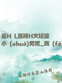 高H亂L高辣H文短篇小說(shuō)男男