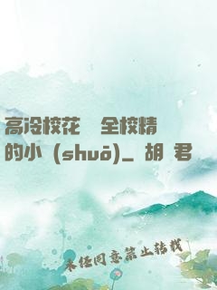 高冷?；S為全校精靈的小說(shuō)