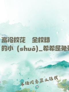 高冷?；S為全校精靈的小說(shuō)