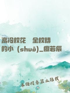 高冷?；S為全校精靈的小說(shuō)