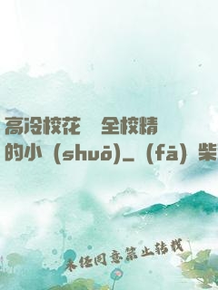 高冷?；S為全校精靈的小說(shuō)