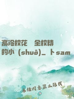 高冷?；S為全校精靈的小說(shuō)