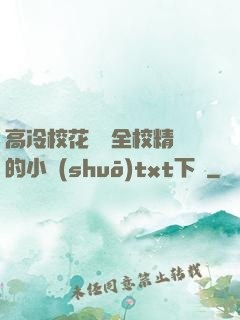 高冷?；S為全校精靈的小說(shuō)txt下載