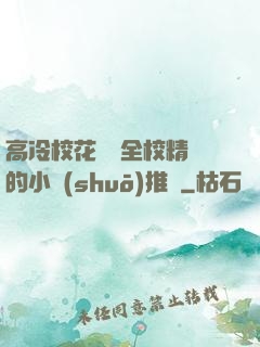 高冷?；S為全校精靈的小說(shuō)推薦