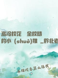 高冷?；S為全校精靈的小說(shuō)推薦