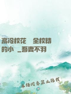 高冷?；S為全校精靈的小說