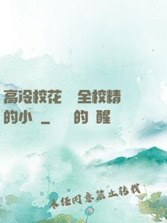 高冷?；S為全校精靈的小說