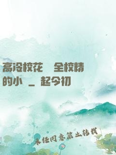 高冷?；S為全校精靈的小說