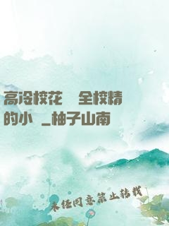 高冷?；S為全校精靈的小說