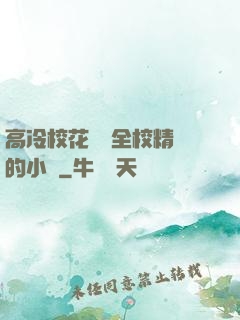 高冷?；S為全校精靈的小說