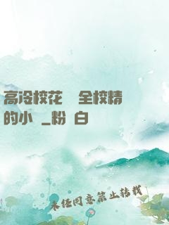 高冷?；S為全校精靈的小說