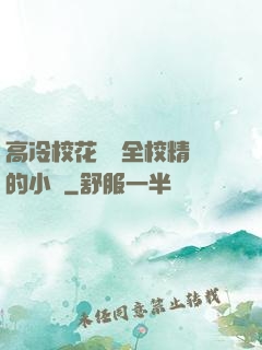 高冷?；S為全校精靈的小說