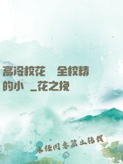 高冷?；S為全校精靈的小說