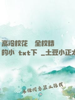 高冷?；S為全校精靈的小說txt下載