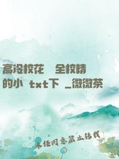 高冷?；S為全校精靈的小說txt下載