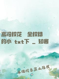 高冷?；S為全校精靈的小說txt下載