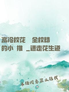 高冷?；S為全校精靈的小說推薦
