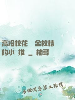 高冷?；S為全校精靈的小說推薦