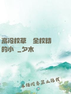 高冷校草淪為全校精靈的小說