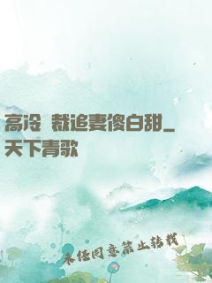 高冷總裁追妻傻白甜